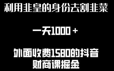 利用非皇的身份去割韭菜，一天1000+(附详细资源)-七哥资源网 - 全网最全创业项目资源