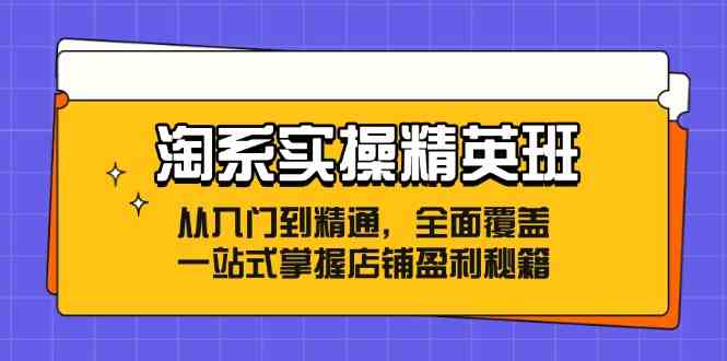 淘系实操精英班：从入门到精通，全面覆盖，一站式掌握店铺盈利秘籍-七哥资源网 - 全网最全创业项目资源