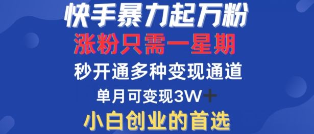 快手暴力起万粉，涨粉只需一星期，多种变现模式，直接秒开万合，单月变现过W【揭秘】-七哥资源网 - 全网最全创业项目资源