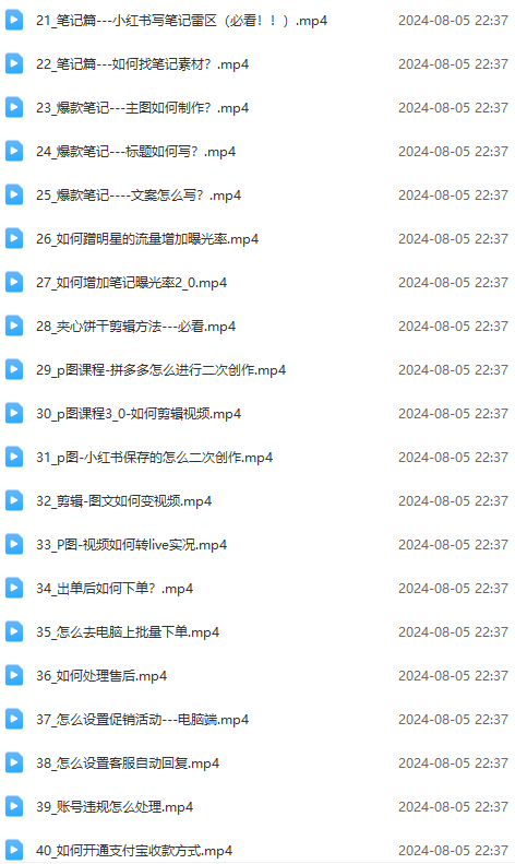图片[3]-（12003期）2024小红书电商实战课：全体系打造 全方位梳理 小红书电商逻辑体系 (42节)-七哥资源网 - 全网最全创业项目资源