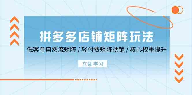 拼多多店铺矩阵玩法：低客单自然流矩阵 / 轻付费矩阵 动销 / 核心权重提升-七哥资源网 - 全网最全创业项目资源