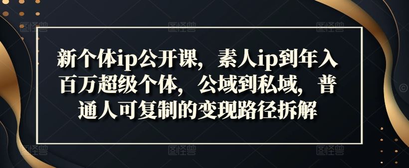 新个体ip公开课，素人ip到年入百万超级个体，公域到私域，普通人可复制的变现路径拆解-七哥资源网 - 全网最全创业项目资源