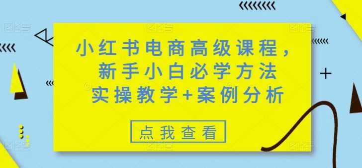 小红书电商高级课程，新手小白必学方法，实操教学+案例分析-七哥资源网 - 全网最全创业项目资源