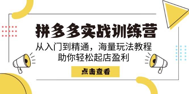 （14392期）拼多多实战训练营，从入门到精通，海量玩法教程，助你轻松起店盈利-七哥资源网 - 全网最全创业项目资源