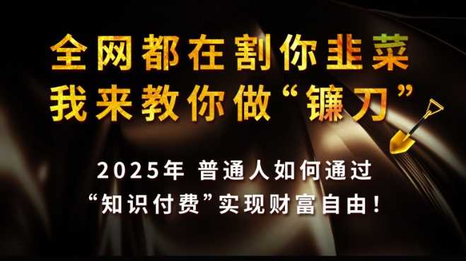 全网都在割你韭菜，我来教你做镰刀,2025普通人如何通过知识付费，实现财F自由【揭秘】-七哥资源网 - 全网最全创业项目资源