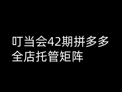 叮当会拼多多打爆班原创高阶技术第42期，拼多多全店托管矩阵-七哥资源网 - 全网最全创业项目资源