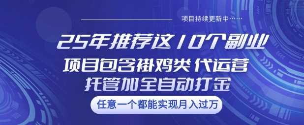 25年推荐这10个副业项目包含褂鸡类、代运营托管类、全自动打金类【揭秘】-七哥资源网 - 全网最全创业项目资源