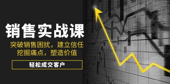 （14297期）销售实战课，突破销售困扰，建立信任，挖掘痛点，塑造价值，轻松成交客户-七哥资源网 - 全网最全创业项目资源