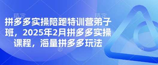 拼多多实操陪跑特训营弟子班，2025年2月拼多多实操课程，海量拼多多玩法-七哥资源网 - 全网最全创业项目资源