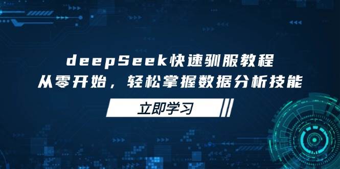 deepSeek快速驯服教程，从零开始，轻松掌握数据分析技能-七哥资源网 - 全网最全创业项目资源