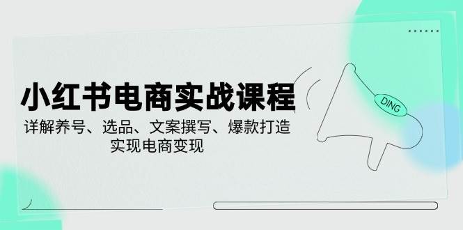 小红书电商实战课程，详解养号、选品、文案撰写、爆款打造，实现电商变现-七哥资源网 - 全网最全创业项目资源