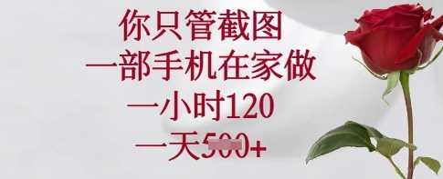 你只管截图，一部手机在家做，一小时120.一天5张【揭秘】-七哥资源网 - 全网最全创业项目资源