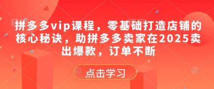 拼多多vip课程，零基础打造店铺的核心秘诀，助拼多多卖家在2025卖出爆款，订单不断-七哥资源网 - 全网最全创业项目资源