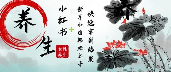疯狂火爆，用Deepseek小红书平台的女性古声古韵养生爆款，小白轻松制作，快速拿到结果-七哥资源网 - 全网最全创业项目资源