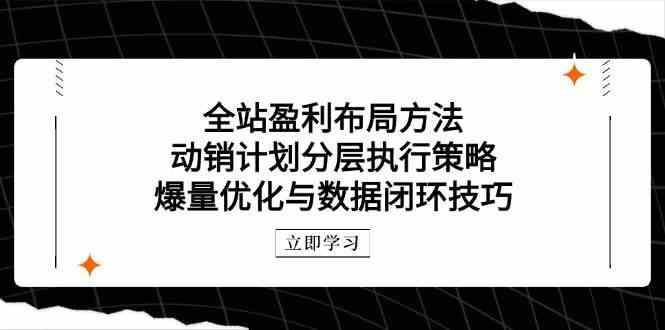 全站盈利布局方法：动销计划分层执行策略，爆量优化与数据闭环技巧-七哥资源网 - 全网最全创业项目资源