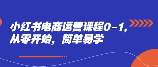 小红书电商运营课程0-1，从零开始，简单易学-七哥资源网 - 全网最全创业项目资源